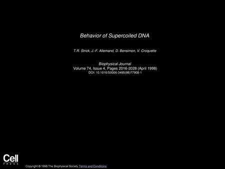 Behavior of Supercoiled DNA