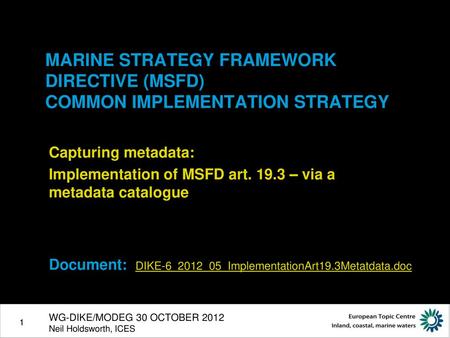 MARINE STRATEGY FRAMEWORK DIRECTIVE (MSFD) COMMON IMPLEMENTATION STRATEGY Capturing metadata: Implementation of MSFD art. 19.3 – via a metadata catalogue.