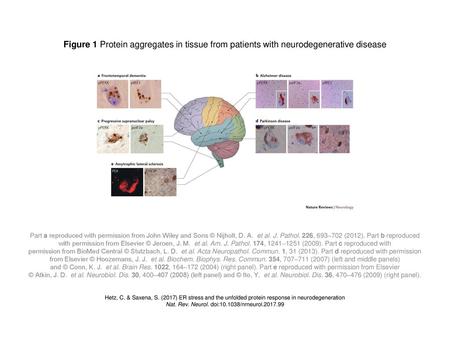 Nat. Rev. Neurol. doi: /nrneurol