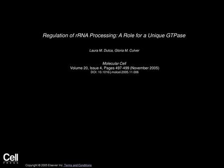 Regulation of rRNA Processing: A Role for a Unique GTPase