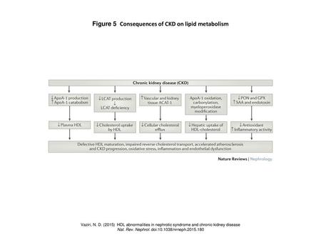 Figure 5 Consequences of CKD on lipid metabolism