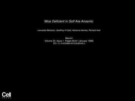 Mice Deficient in Golf Are Anosmic