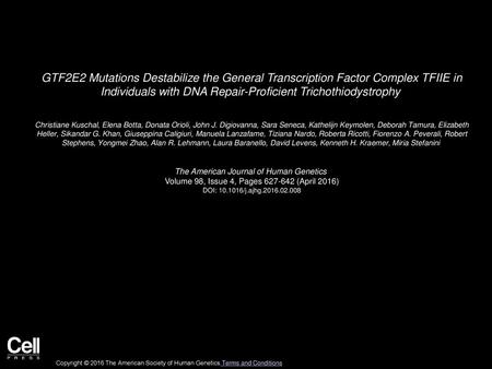 GTF2E2 Mutations Destabilize the General Transcription Factor Complex TFIIE in Individuals with DNA Repair-Proficient Trichothiodystrophy  Christiane.