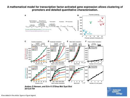 A mathematical model for transcription factor‐activated gene expression allows clustering of promoters and detailed quantitative characterization. A mathematical.