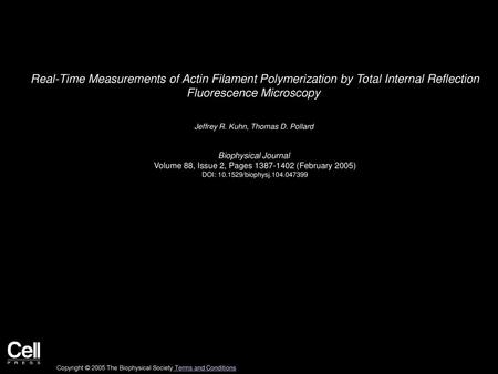 Real-Time Measurements of Actin Filament Polymerization by Total Internal Reflection Fluorescence Microscopy  Jeffrey R. Kuhn, Thomas D. Pollard  Biophysical.