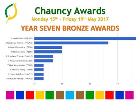 YEAR SEVEN BRONZE AWARDS