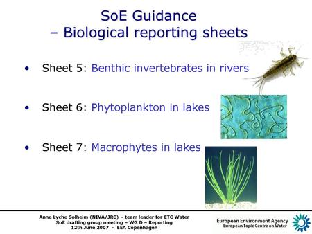 SoE Guidance – Biological reporting sheets