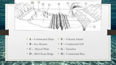 A – Continental Slope E – Volcanic Island B – Sea Mounts