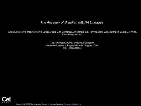 The Ancestry of Brazilian mtDNA Lineages