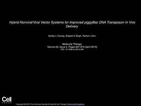 Ashley L Cooney, Brajesh K Singh, Patrick L Sinn  Molecular Therapy 