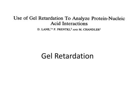 Gel Retardation.