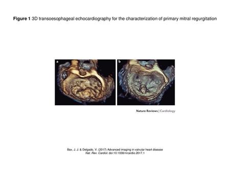 Nat. Rev. Cardiol. doi: /nrcardio