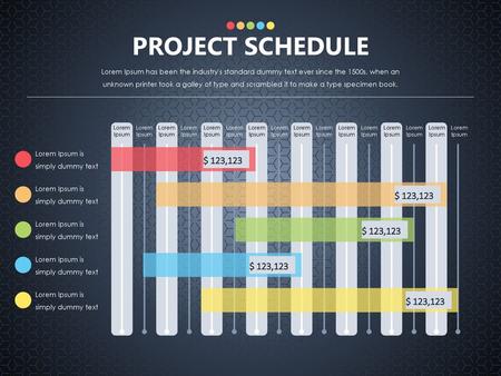 PROJECT SCHEDULE Gantt Chart $ 123,123 $ 123,123 $ 123,123 $ 123,123