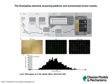 The Drosophila chemical screening platform and summarised screen results. The Drosophila chemical screening platform and summarised screen results. (A)