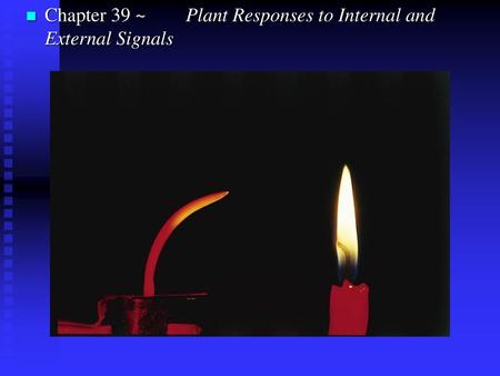 Chapter 39 ~	  Plant Responses to Internal and External Signals