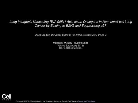 Molecular Therapy - Nucleic Acids