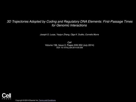 3D Trajectories Adopted by Coding and Regulatory DNA Elements: First-Passage Times for Genomic Interactions  Joseph S. Lucas, Yaojun Zhang, Olga K. Dudko,