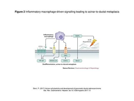 Nat. Rev. Gastroenterol. Hepatol. doi: /nrgastro