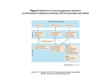 Figure 2 Algorithm for immunosuppressive treatment