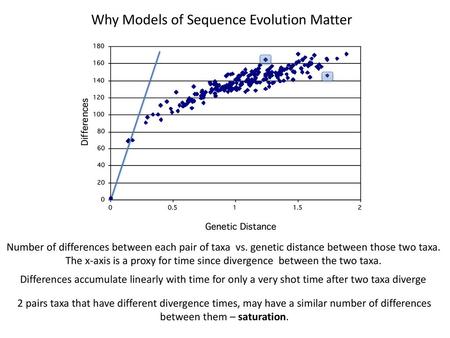 Why Models of Sequence Evolution Matter