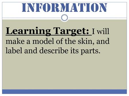 Information Learning Target: I will make a model of the skin, and label and describe its parts.