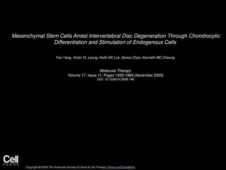 Mesenchymal Stem Cells Arrest Intervertebral Disc Degeneration Through Chondrocytic Differentiation and Stimulation of Endogenous Cells  Fan Yang, Victor.