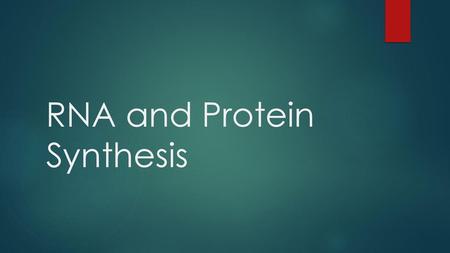 RNA and Protein Synthesis