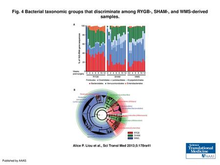 Fig. 4 Bacterial taxonomic groups that discriminate among RYGB-, SHAM-, and WMS-derived samples. Bacterial taxonomic groups that discriminate among RYGB-,