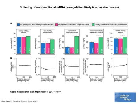 Buffering of non‐functional mRNA co‐regulation likely is a passive process Buffering of non‐functional mRNA co‐regulation likely is a passive process Percentage.