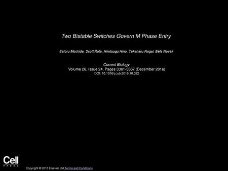 Two Bistable Switches Govern M Phase Entry