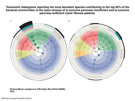 Taxonomic cladograms reporting the most abundant species contributing to the top 95% of the bacterial communities of the lower airways of a) exocrine pancreas.