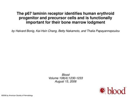 The p67 laminin receptor identifies human erythroid progenitor and precursor cells and is functionally important for their bone marrow lodgment by Halvard.