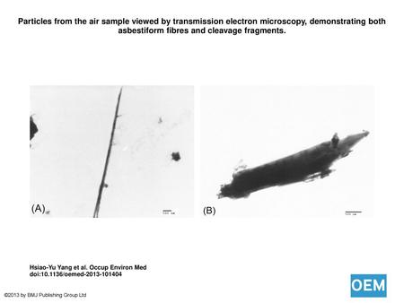 Particles from the air sample viewed by transmission electron microscopy, demonstrating both asbestiform fibres and cleavage fragments. Particles from.