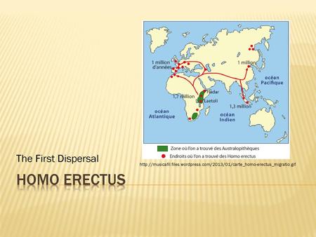 Homo Erectus The First Dispersal