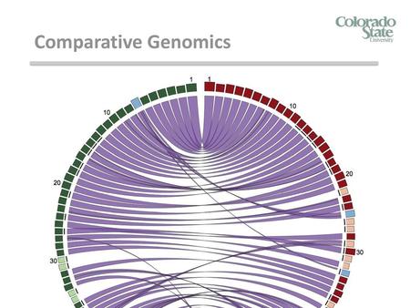 Comparative Genomics.