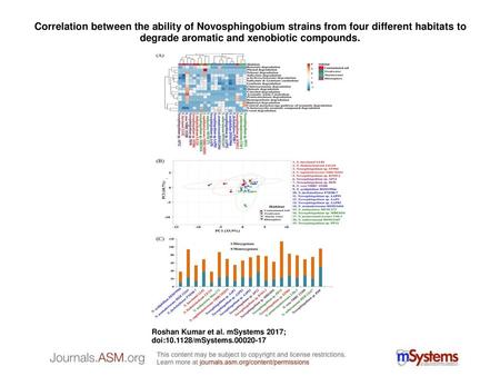 Correlation between the ability of Novosphingobium strains from four different habitats to degrade aromatic and xenobiotic compounds. Correlation between.