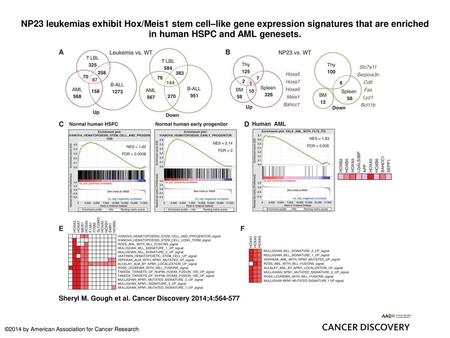 NP23 leukemias exhibit Hox/Meis1 stem cell–like gene expression signatures that are enriched in human HSPC and AML genesets. NP23 leukemias exhibit Hox/Meis1.