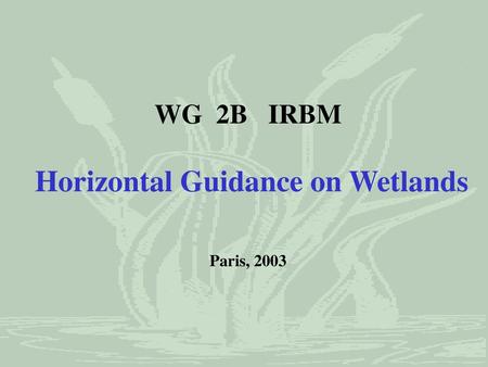 WG 2B IRBM Horizontal Guidance on Wetlands Paris, 2003