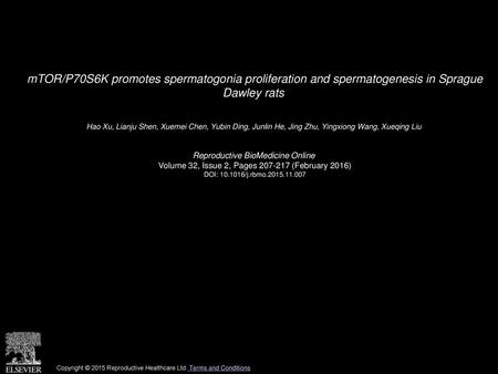 MTOR/P70S6K promotes spermatogonia proliferation and spermatogenesis in Sprague Dawley rats  Hao Xu, Lianju Shen, Xuemei Chen, Yubin Ding, Junlin He,