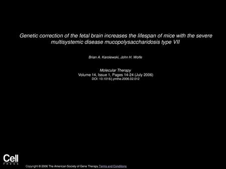 Genetic correction of the fetal brain increases the lifespan of mice with the severe multisystemic disease mucopolysaccharidosis type VII  Brian A. Karolewski,