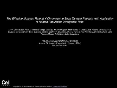 The Effective Mutation Rate at Y Chromosome Short Tandem Repeats, with Application to Human Population-Divergence Time  Lev A. Zhivotovsky, Peter A. Underhill,