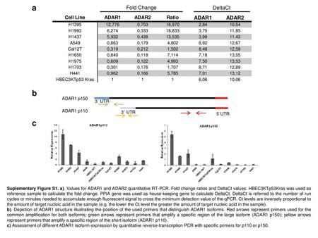 a b c Fold Change DeltaCt Cell Line ADAR1 ADAR2 Ratio H ,776