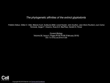 The phylogenetic affinities of the extinct glyptodonts