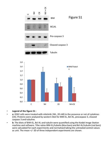 Figure S1 Nil + CK Nil CK C BIM BCLXL Pro-caspase 3 Cleaved caspase 3