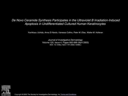 De Novo Ceramide Synthesis Participates in the Ultraviolet B Irradiation-Induced Apoptosis in Undifferentiated Cultured Human Keratinocytes  Yoshikazu.