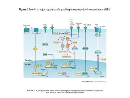 Nat. Rev. Clin. Oncol. doi: /nrclinonc