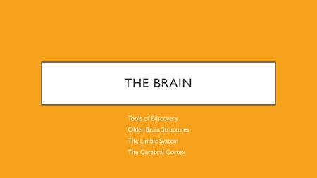 The Brain Tools of Discovery Older Brain Structures The Limbic System