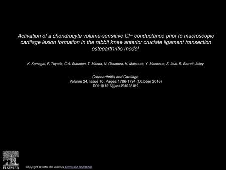 Activation of a chondrocyte volume-sensitive Cl− conductance prior to macroscopic cartilage lesion formation in the rabbit knee anterior cruciate ligament.