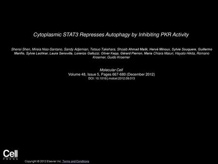 Cytoplasmic STAT3 Represses Autophagy by Inhibiting PKR Activity