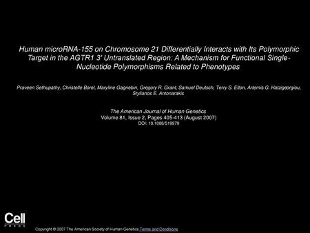 Human microRNA-155 on Chromosome 21 Differentially Interacts with Its Polymorphic Target in the AGTR1 3′ Untranslated Region: A Mechanism for Functional.